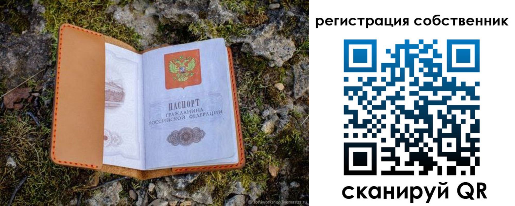 прописка поиск в Саранске
